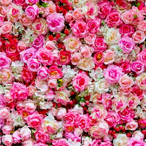 Meet your Posher, Spring - Picture 1 of 1